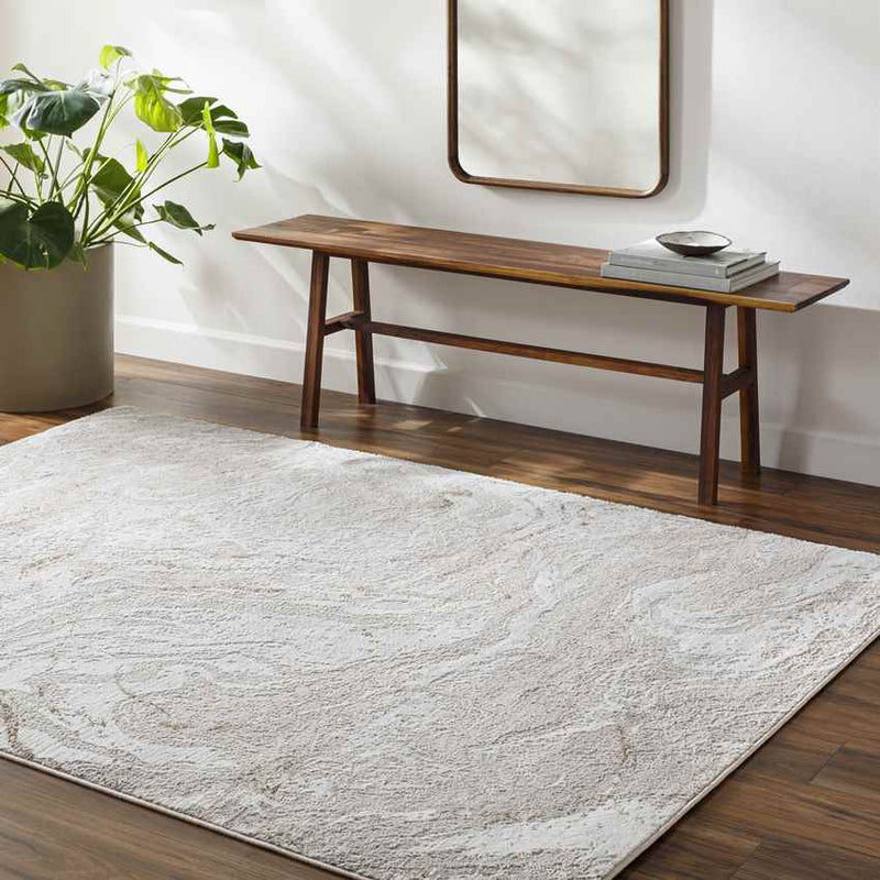 Guttenberg Modern Light Gray Area Rug