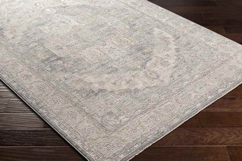 Varvara Traditional Light Gray Area Rug