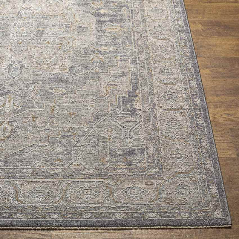 Varvara Traditional Light Gray Area Rug