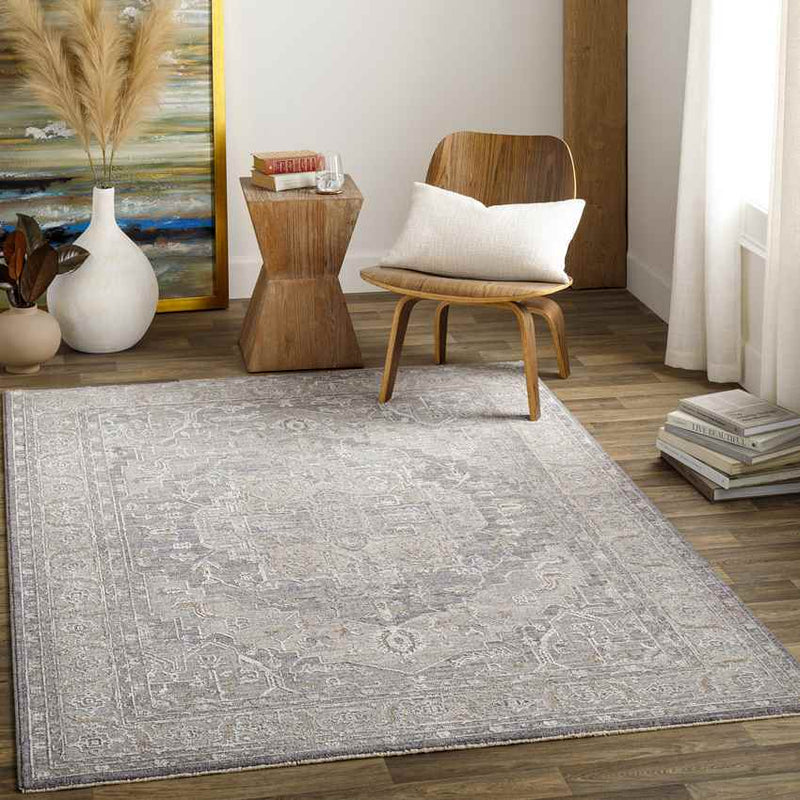 Varvara Traditional Light Gray Area Rug