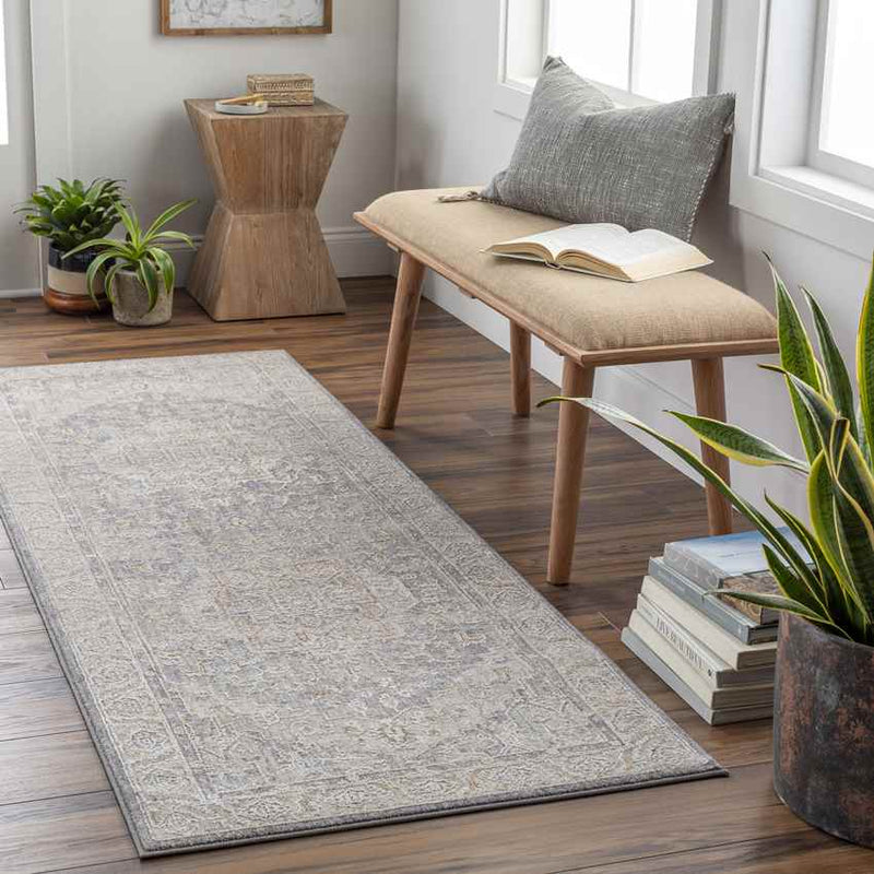 Varvara Traditional Light Gray Area Rug