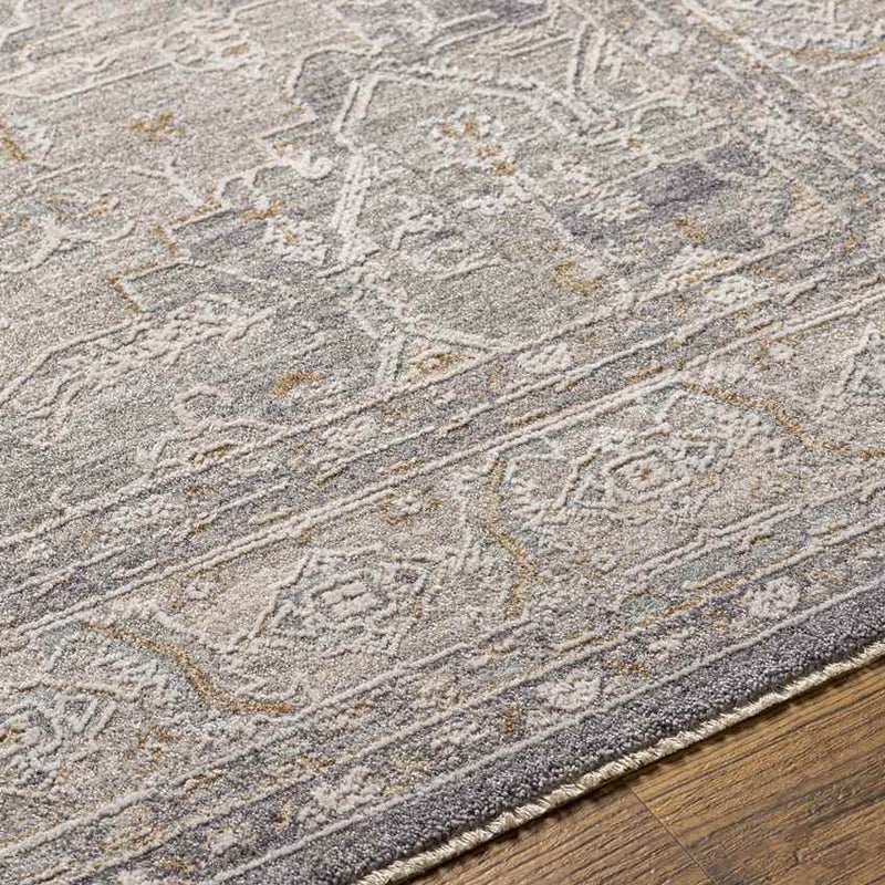 Varvara Traditional Light Gray Area Rug