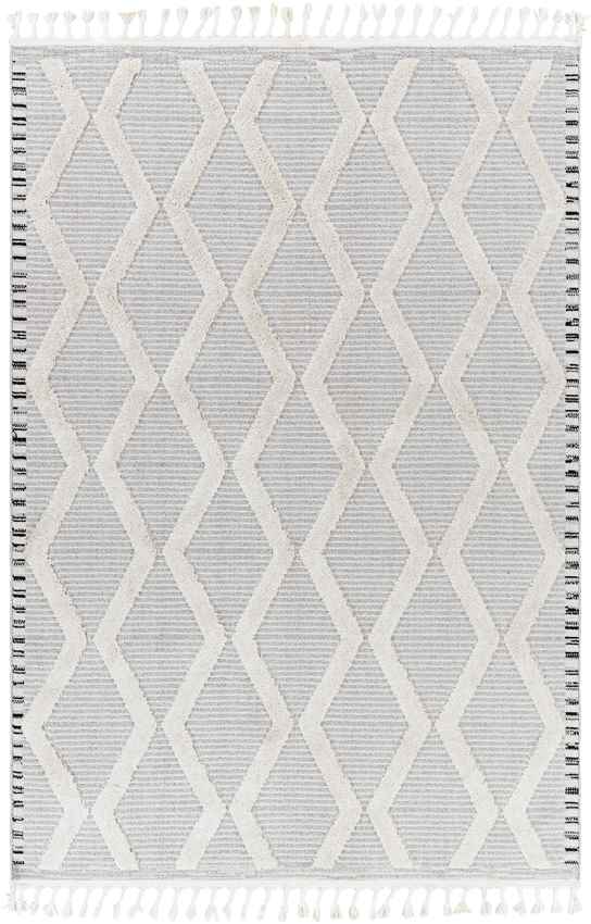 Ammochostos Global Gray Area Rug