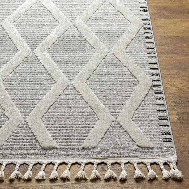 Ammochostos Global Gray Area Rug