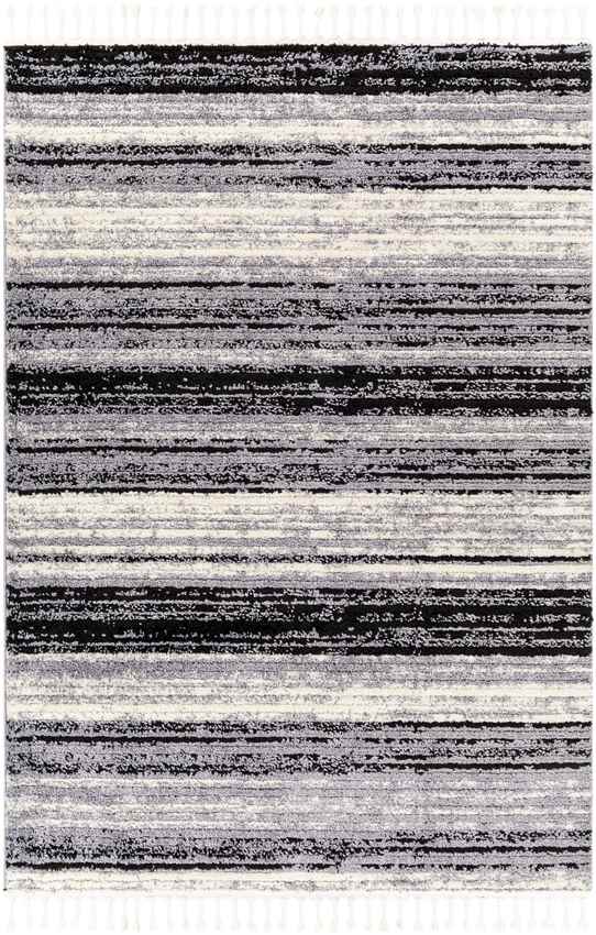 Vasilia Modern Charcoal Area Rug