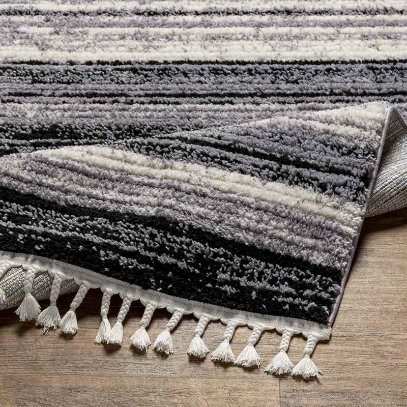 Vasilia Modern Charcoal Area Rug