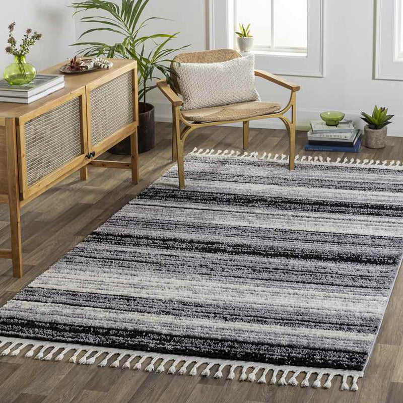 Vasilia Modern Charcoal Area Rug