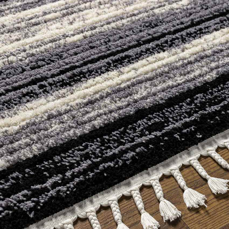 Vasilia Modern Charcoal Area Rug