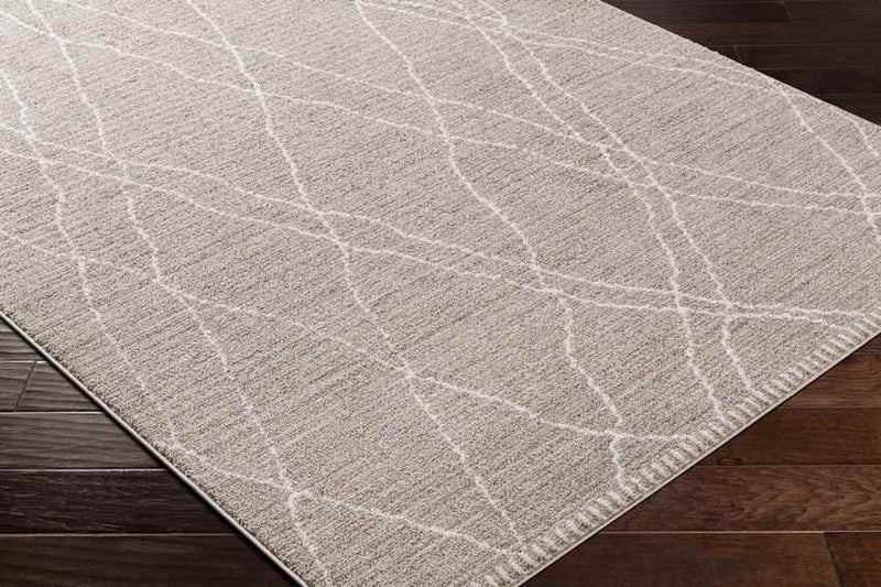 Psyllatos Global Gray Area Rug