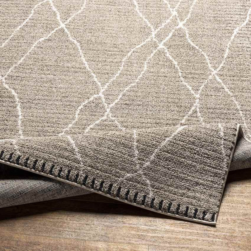 Psyllatos Global Gray Area Rug