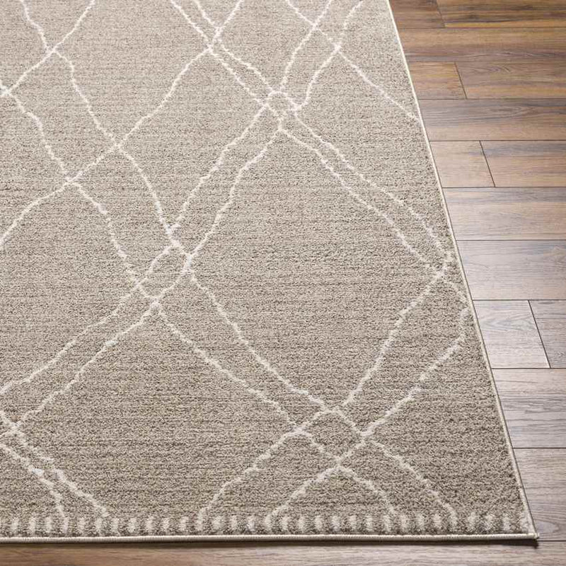 Psyllatos Global Gray Area Rug