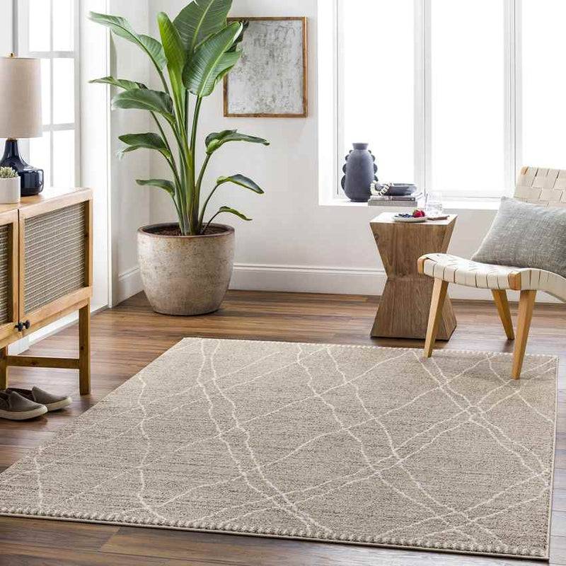 Psyllatos Global Gray Area Rug