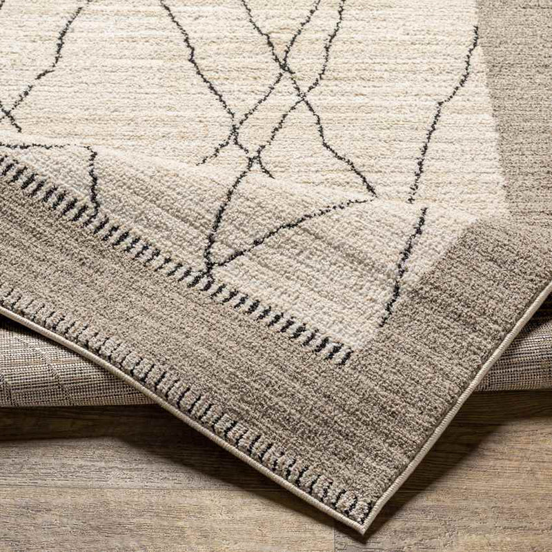 Chloraka Global Beige Area Rug