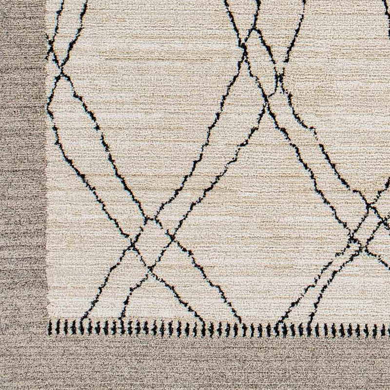 Chloraka Global Beige Area Rug