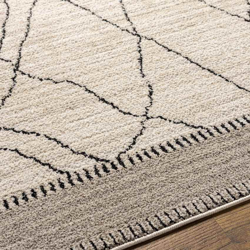 Chloraka Global Beige Area Rug