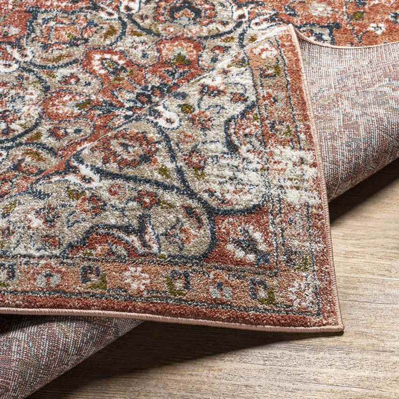 Knierim Traditional Burnt Orange Area Rug