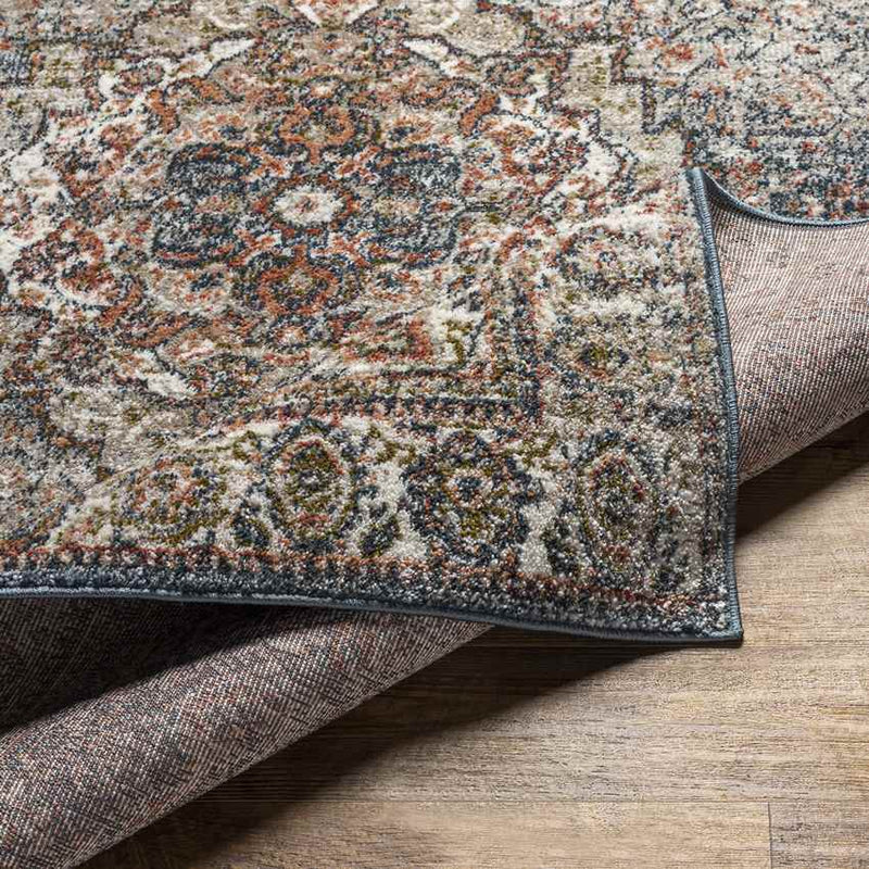 Lake Park Traditional Taupe Area Rug