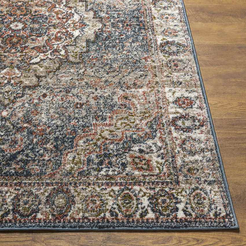 Lake Park Traditional Taupe Area Rug