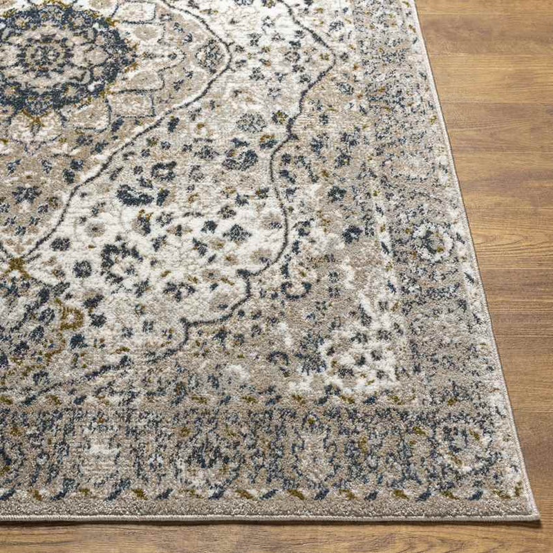 Lake View Traditional Ivory Area Rug