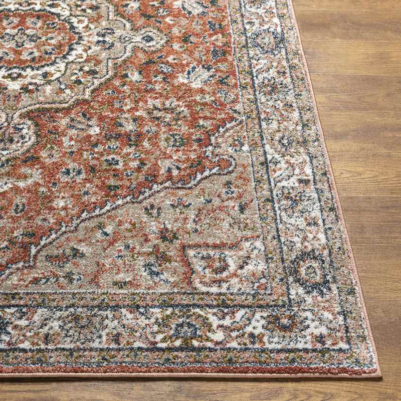 Lamoni Traditional Burnt Orange Area Rug