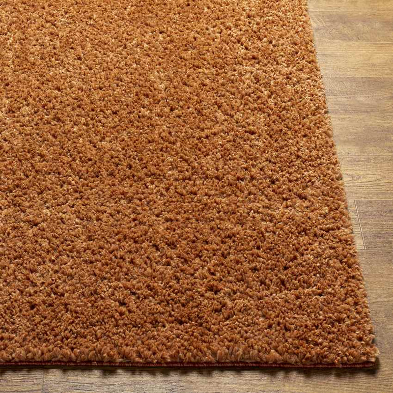 Vere Modern Burnt Orange Area Rug