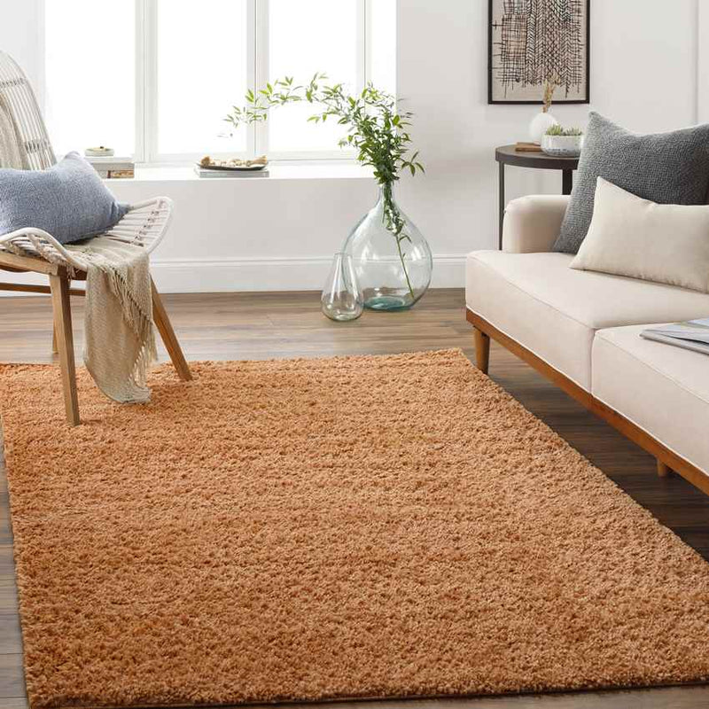 Vere Modern Burnt Orange Area Rug