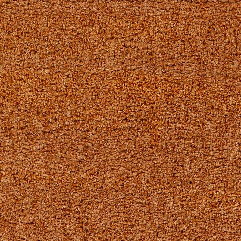 Vere Modern Burnt Orange Area Rug