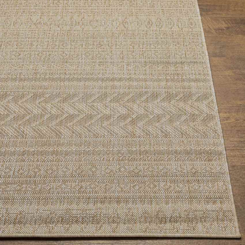 Antibes Global Brown Area Rug