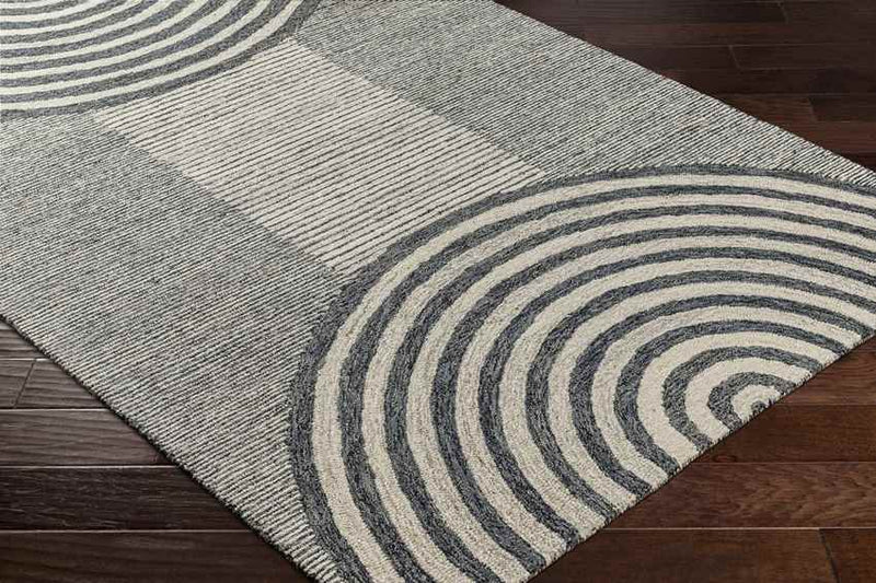 Troulloi Modern Charcoal Area Rug