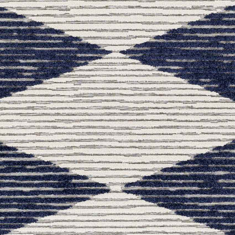 Platanistasa Global Dark Blue Area Rug