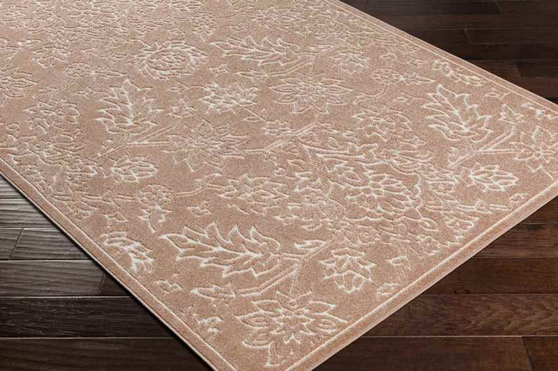 Melini Traditional Coral Area Rug