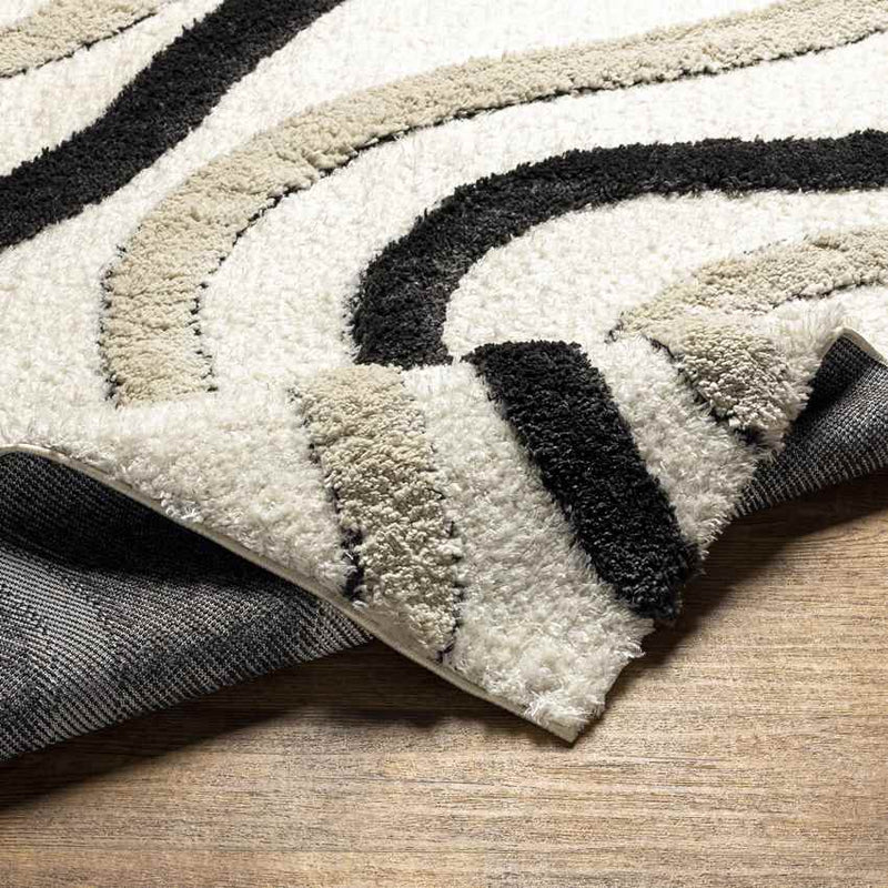 Morfou Modern Black Area Rug