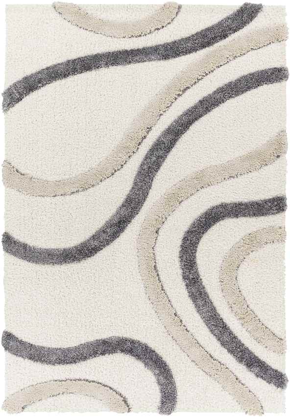 Morfou Modern Charcoal Area Rug