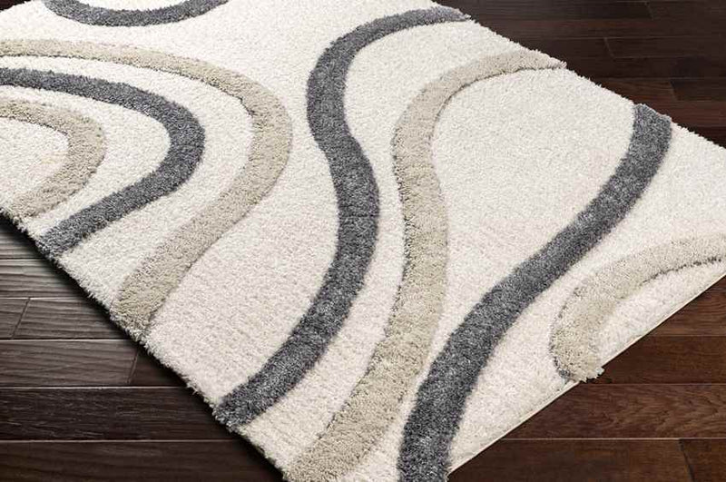 Morfou Modern Charcoal Area Rug