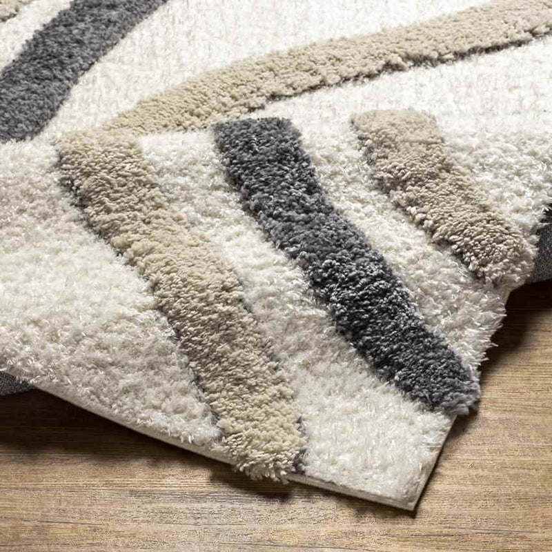 Morfou Modern Charcoal Area Rug