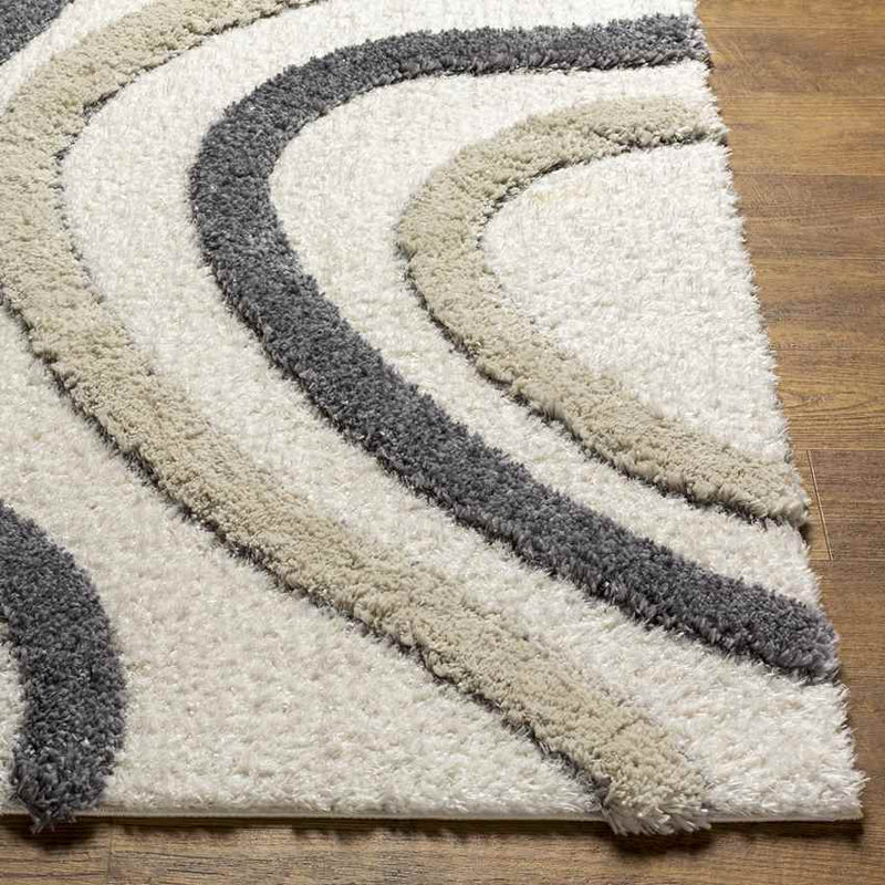 Morfou Modern Charcoal Area Rug