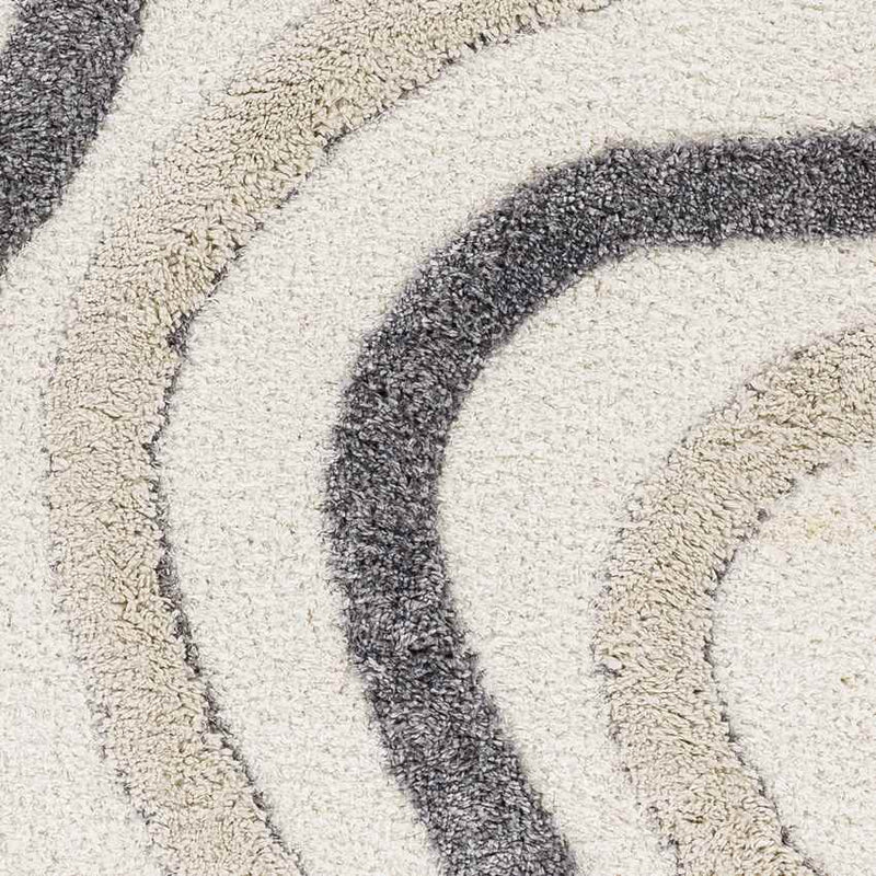 Morfou Modern Charcoal Area Rug