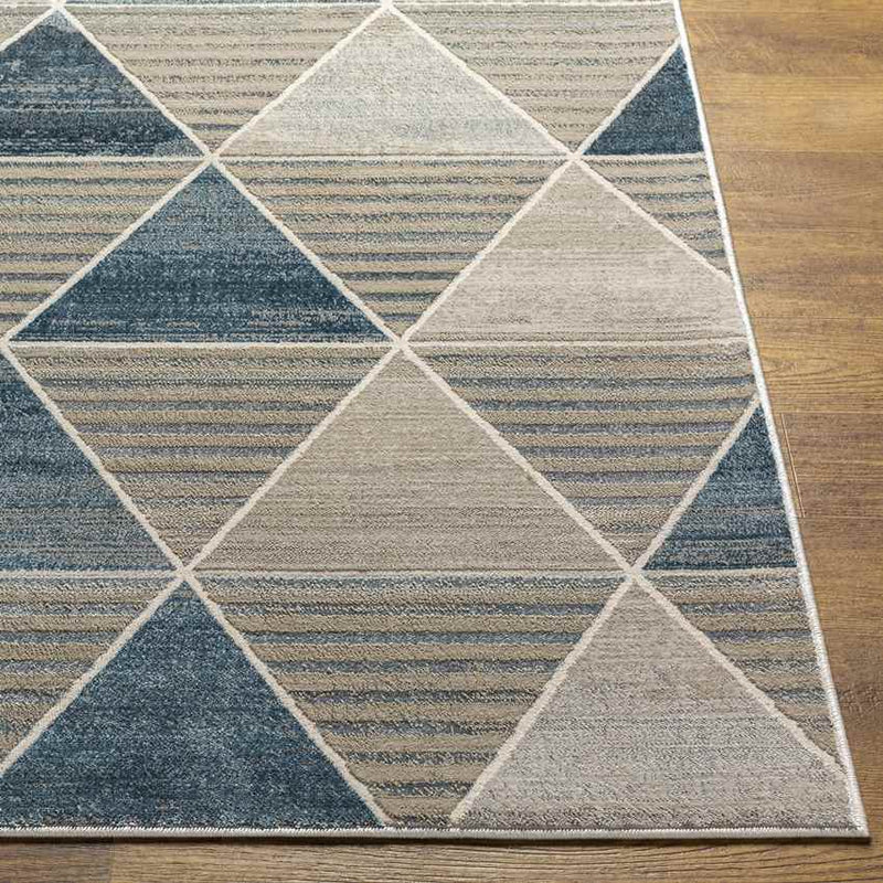 Panagra Modern Beige Area Rug