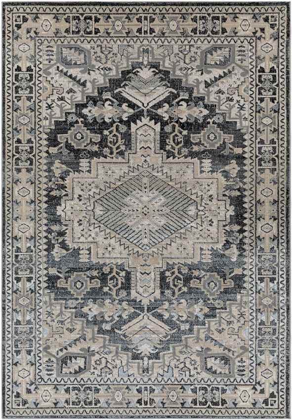 Pachna Traditional Dark Teal Area Rug