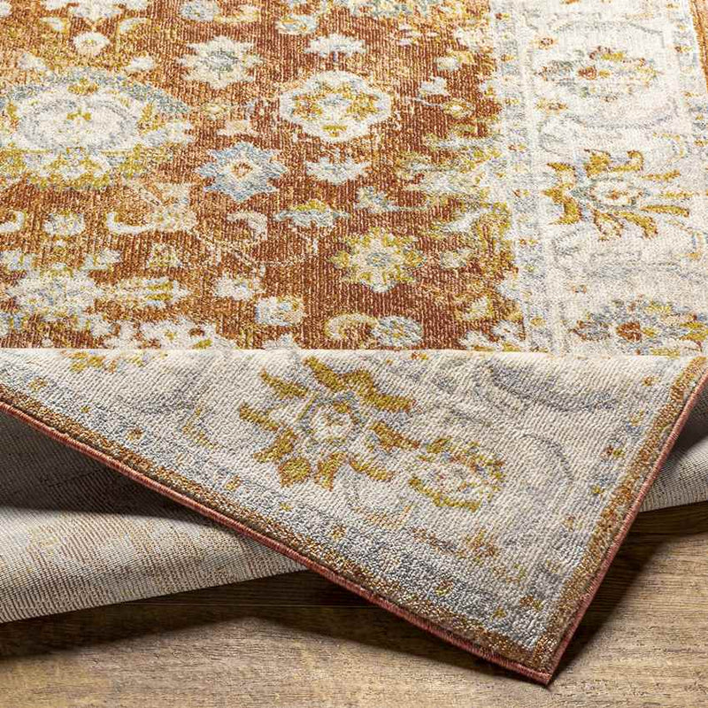 Louroukina Traditional Burnt Orange Area Rug