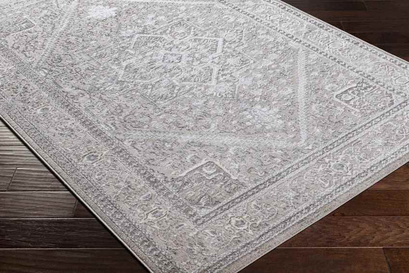 Assia Traditional Gray Area Rug