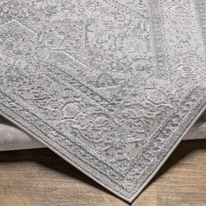 Assia Traditional Gray Area Rug