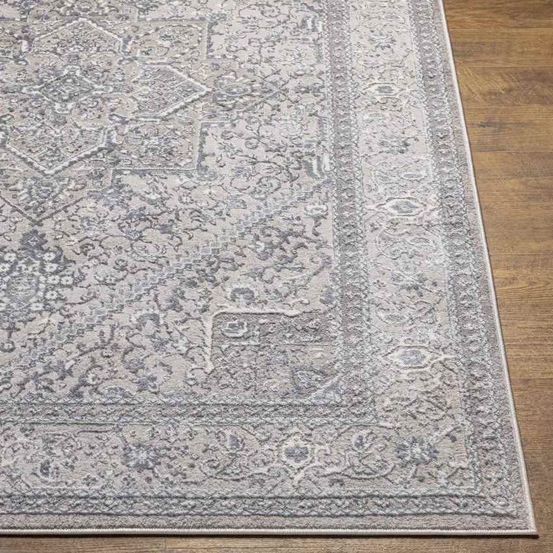 Assia Traditional Gray Area Rug