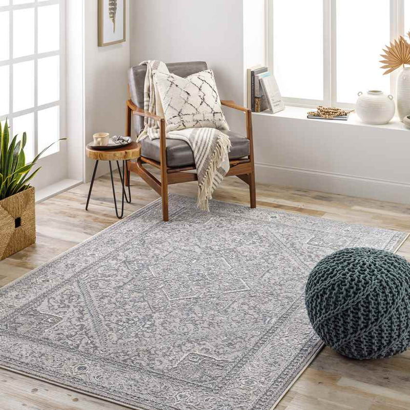 Assia Traditional Gray Area Rug