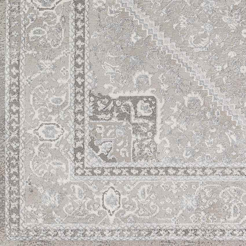 Assia Traditional Gray Area Rug