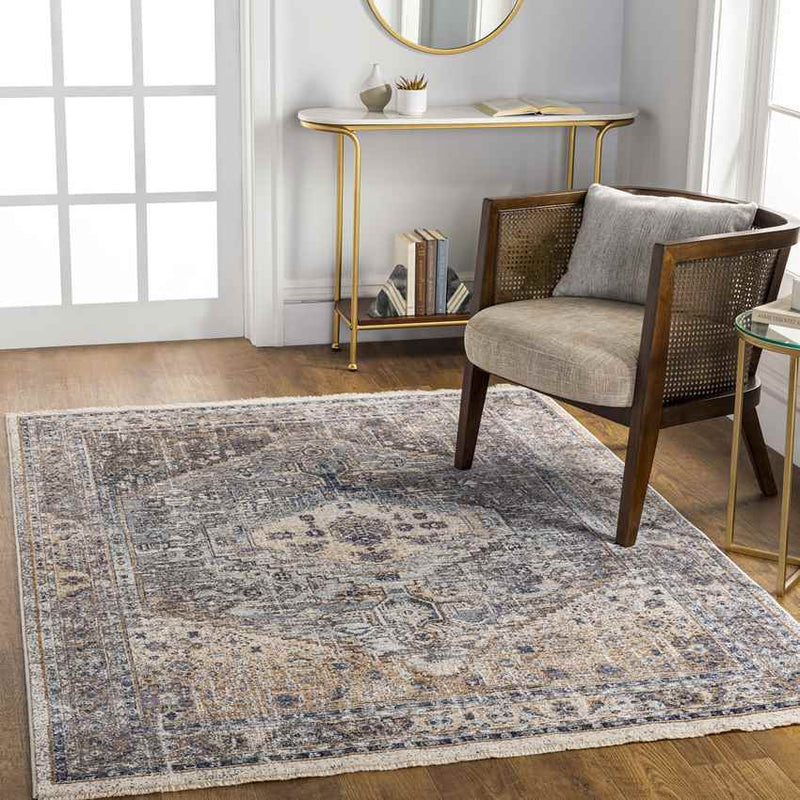 Inwood Traditional Taupe Area Rug