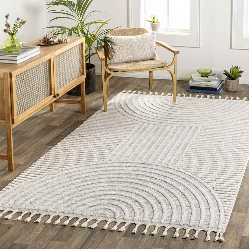 Kyra Modern Light Gray Area Rug