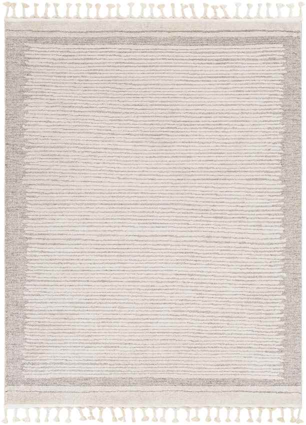 Orounta Modern Taupe Area Rug