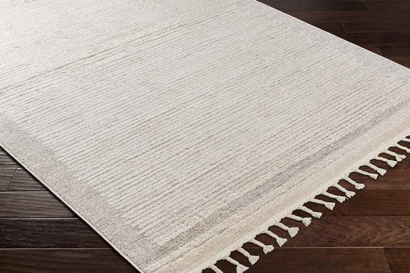 Orounta Modern Taupe Area Rug