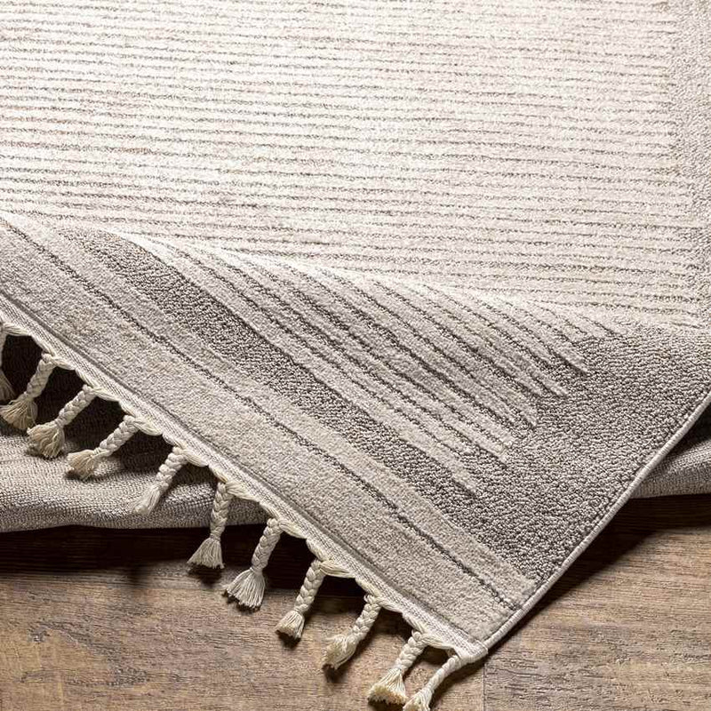 Orounta Modern Taupe Area Rug